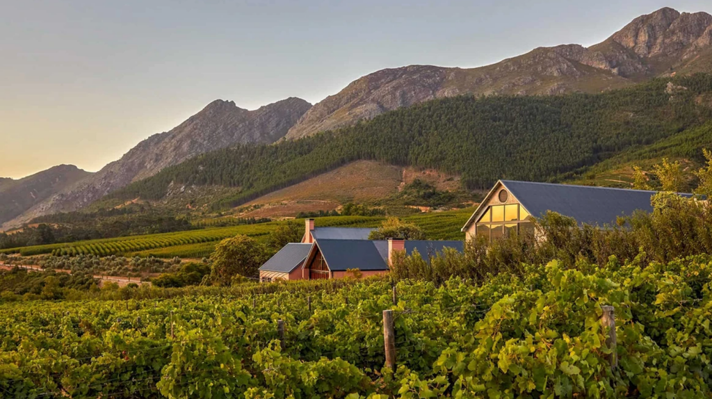 Liz Biden e o estilo inconfundível da hospitalidade sul-africana