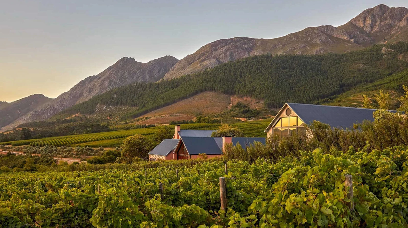 Liz Biden e o estilo inconfundível da hospitalidade sul-africana