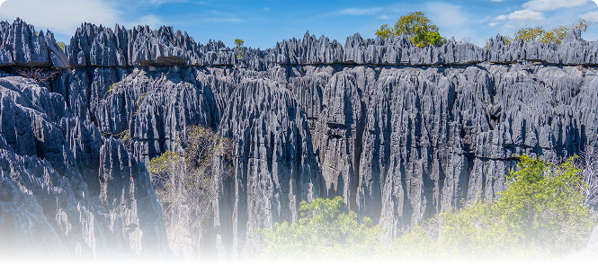 madagascar