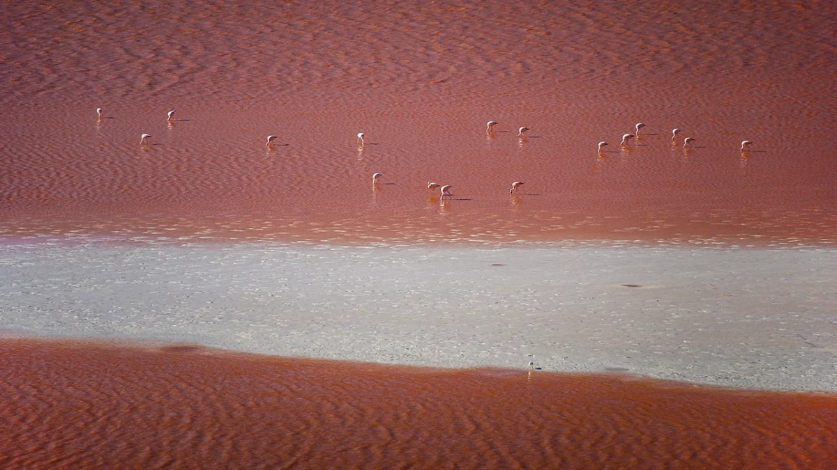 chile