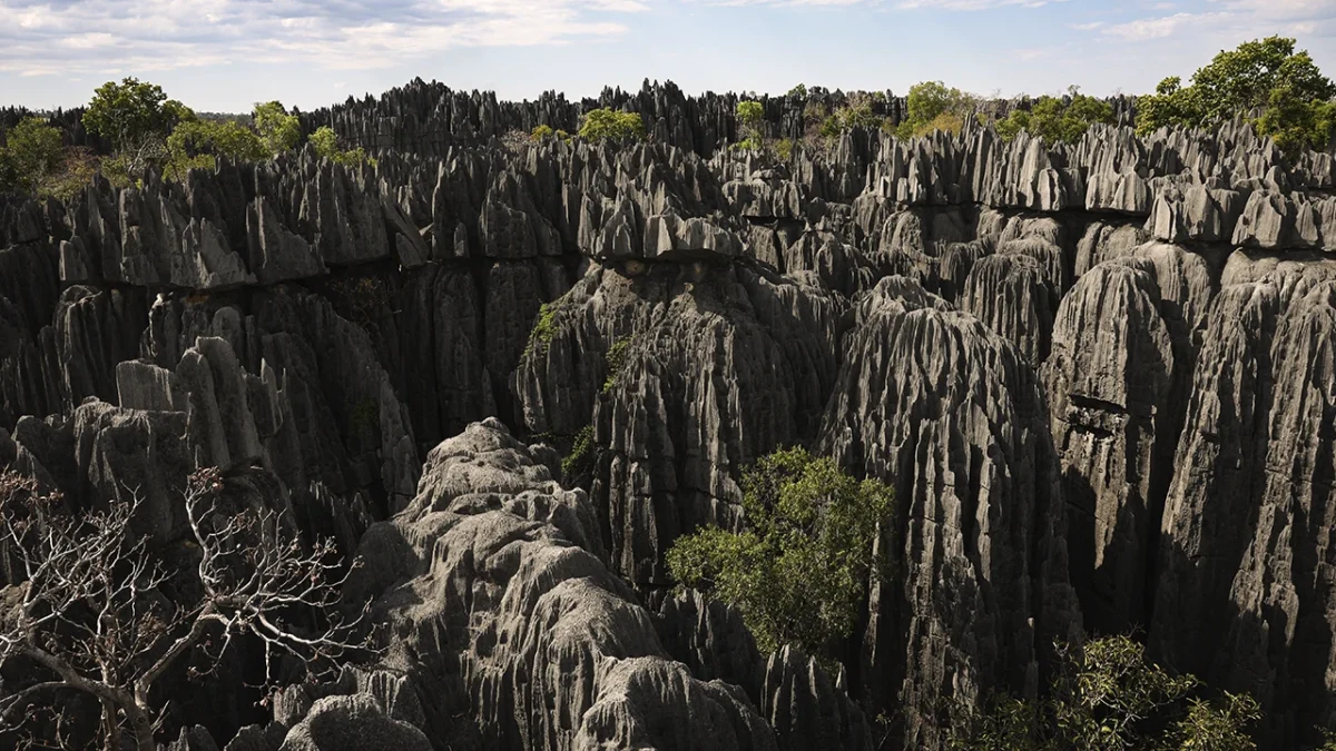 madagascar