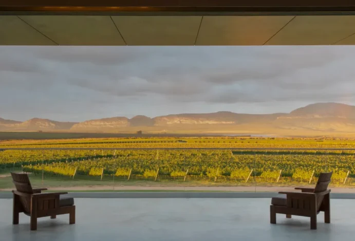 Vinhos da Chapada Diamantina: o novo sabor da Bahia Vinhos da Chapada Diamantina: o novo sabor da Bahia