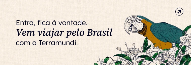 728×250 Publicidade