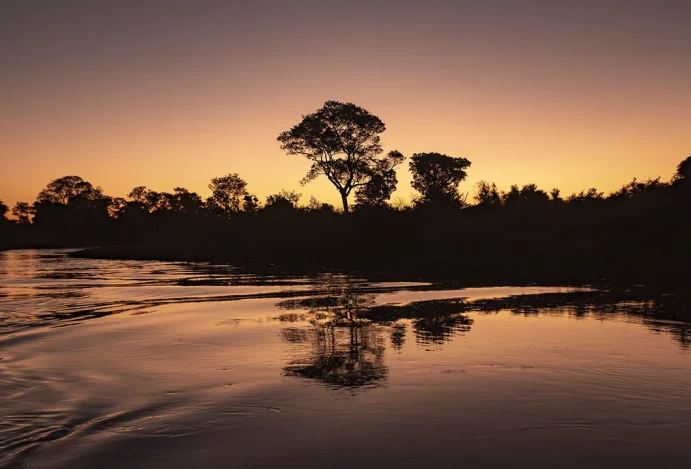 pantanal Viagens sustentáveis no Pantanal: quando o turismo protege a vida selvagem