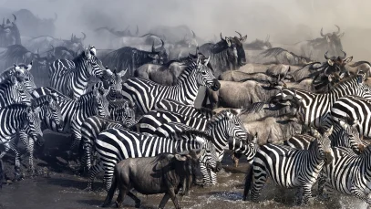 Entendendo a Grande Migração na África