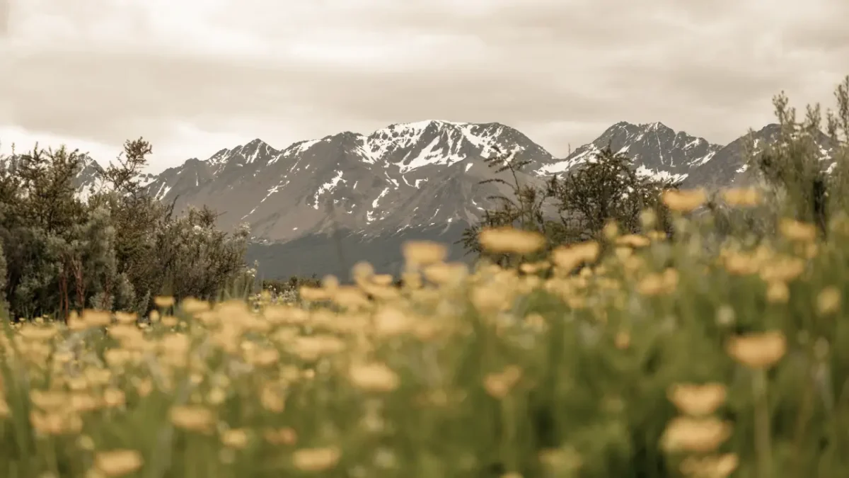patagonia-primavera