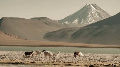 Quando ir à Patagônia