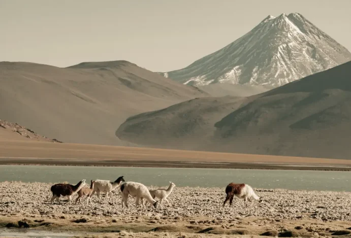 Quando ir à Patagônia