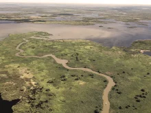 Ver mais: Imagem sobre Pantanal River Cruise