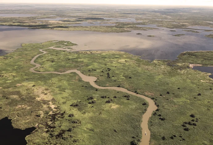 Ver mais: O Pantanal é um dos maiores refúgios de vida selvagem do planeta e o melhor lugar do mundo para observar onças-pintadas em seu habitat natural. Um safari brasileiro ainda pouco descoberto pelos viajantes.