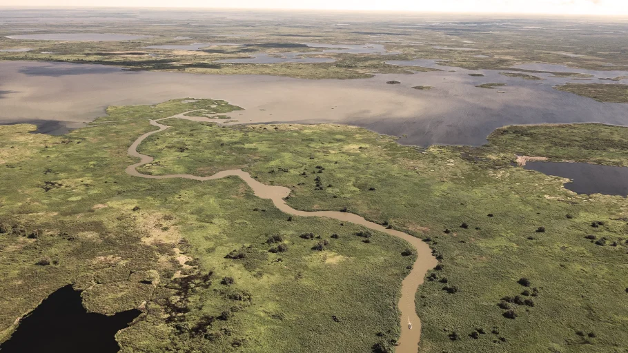Pantanal: o safari que o Brasil ainda guarda como segredo