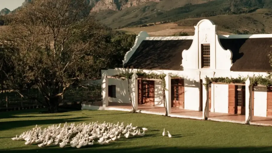Fachada da hospedagem Babylonstoren com um bando de patinhos na frente.