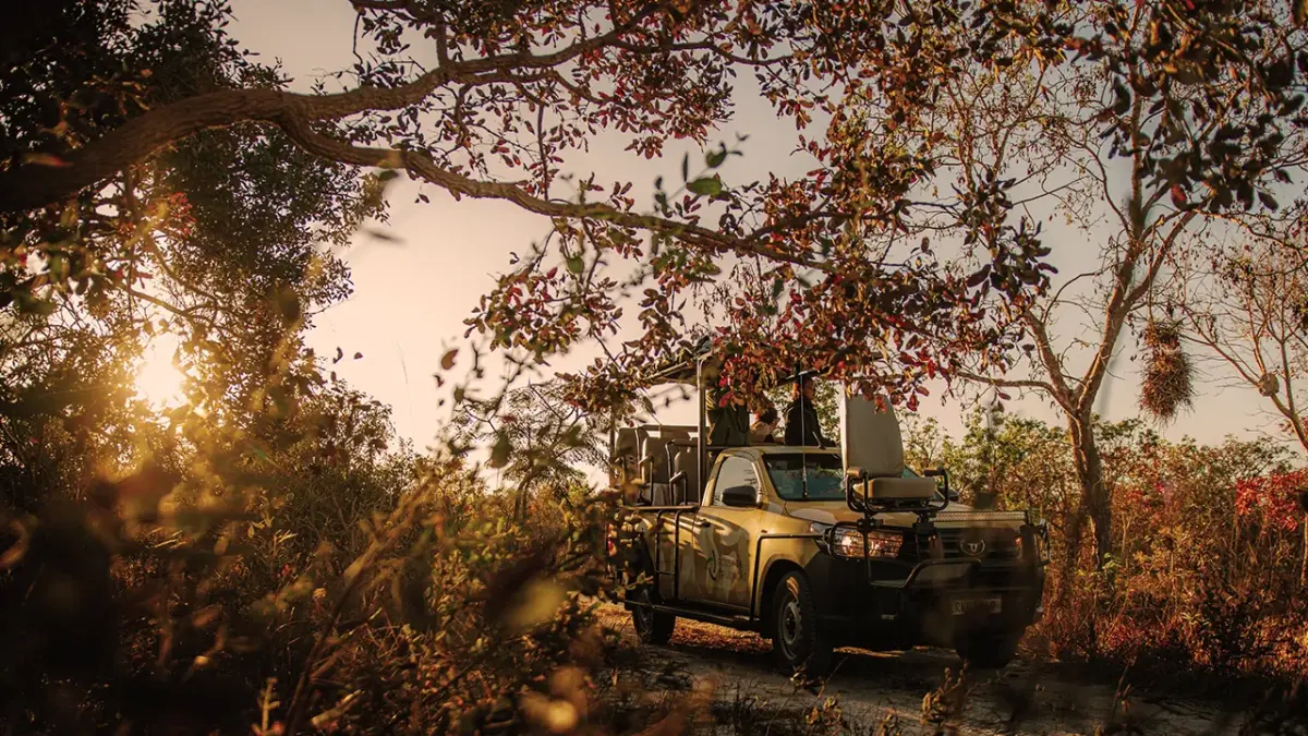 fazenda-trijuncao-3