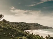 Ver mais: Muito além de Bali: descubra Sumba, uma ilha de praias intocadas e experiências transformadoras.