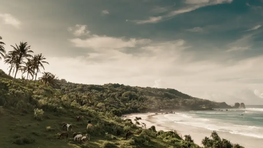 Ilha de Sumba, muito prazer. 