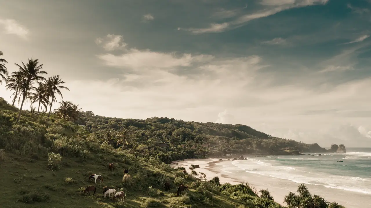 Muito além de Bali: descubra Sumba, uma ilha de praias intocadas e experiências transformadoras.