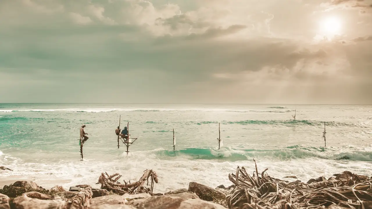 Sri Lanka é a ilha que não para de surpreender. Descubra os melhores destinos, roteiros e experiências únicas — do Triângulo Cultural às praias do sul e safáris em Yala.