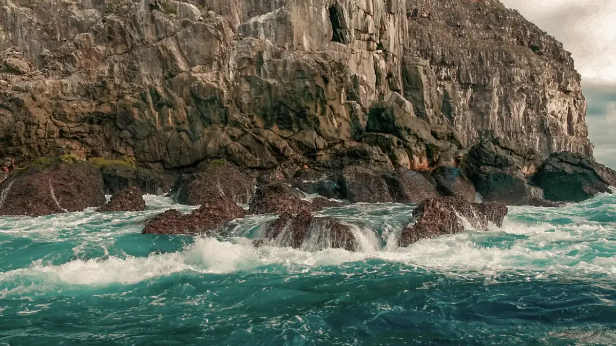 galapagos5