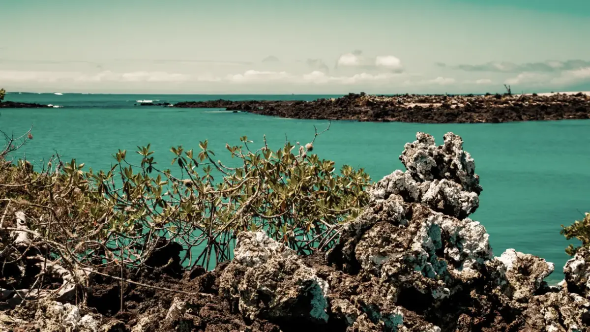 galapagos6