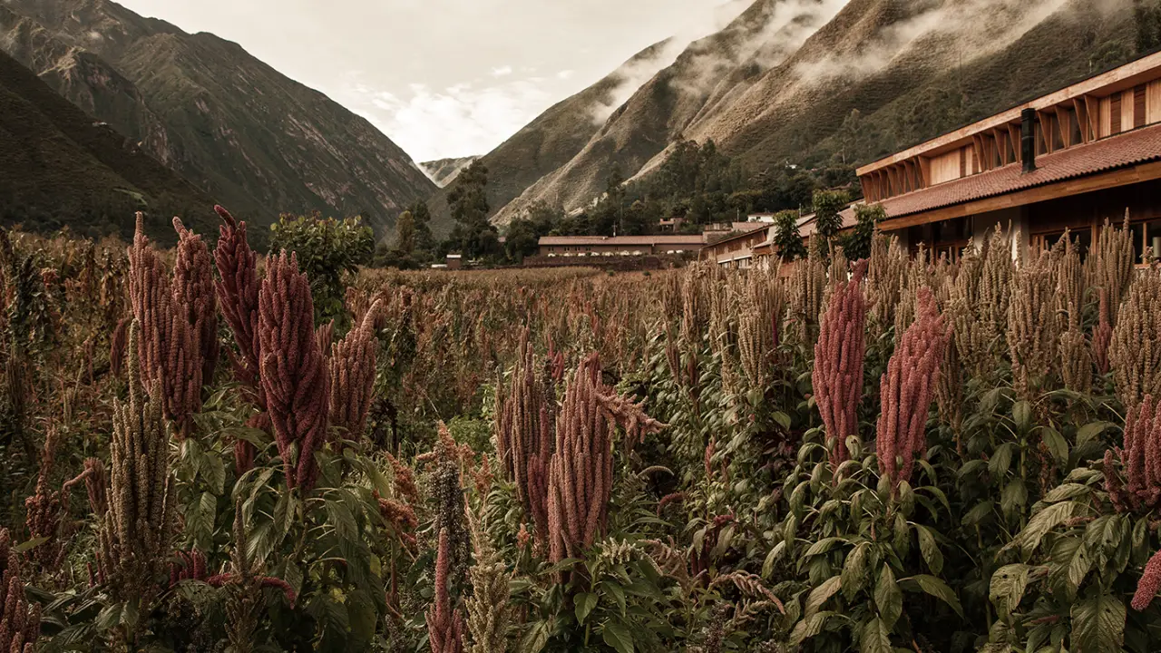 Conheça o lodge peruano que virou base de aclimatação, gastronomia de ponta e mais de 40 explorações no Vale Sagrado dos Incas.