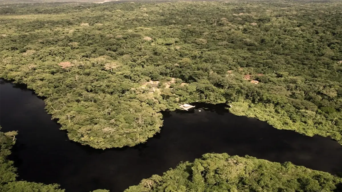 dia-da-amazonia4 Vista aérea de um rio amazônico.