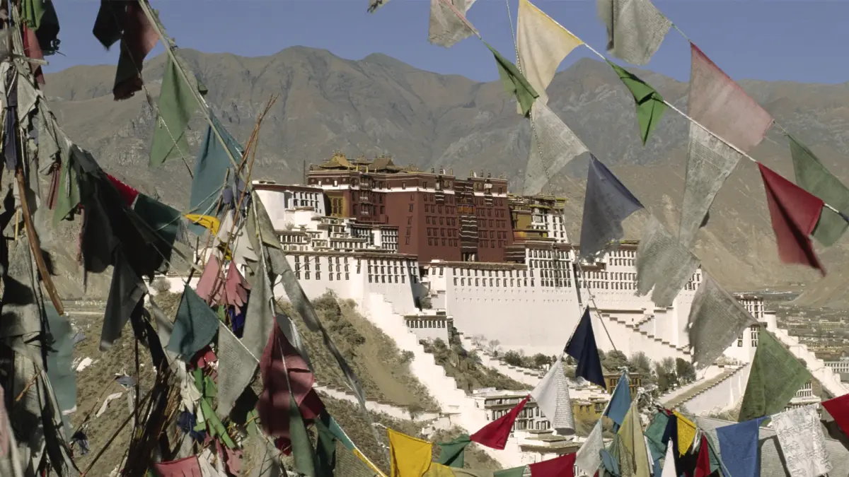 lhasa