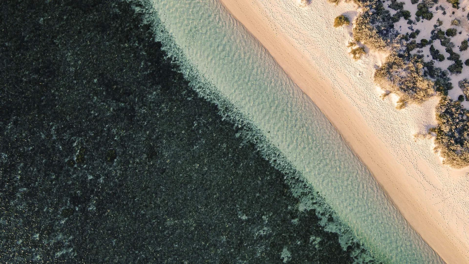 Descubra por que viajar para Ningaloo Reef, na Austrália Ocidental, é uma das experiências mais raras do planeta — e como o Sal Salis transforma isso em luxo eco-consciente entre o deserto e o recife.