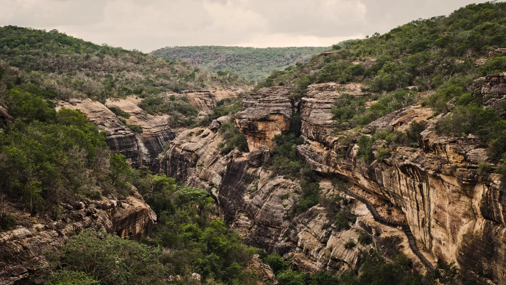 O Parque Nacional Serra da Capivara guarda a maior concentração de arte rupestre das Américas e bate recordes de visitação em 2026. Conheça o legado de Niède Guidon e como planejar essa viagem ao Piauí.