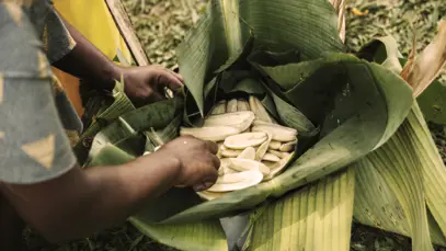 Banana cozinha na folha de bananeira,