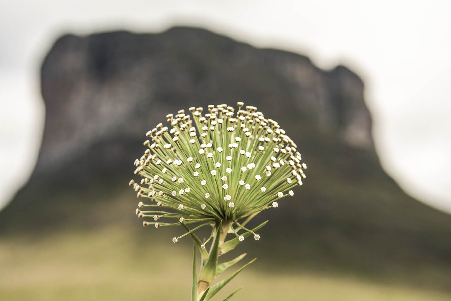 chapada-diamantina (13)-tm