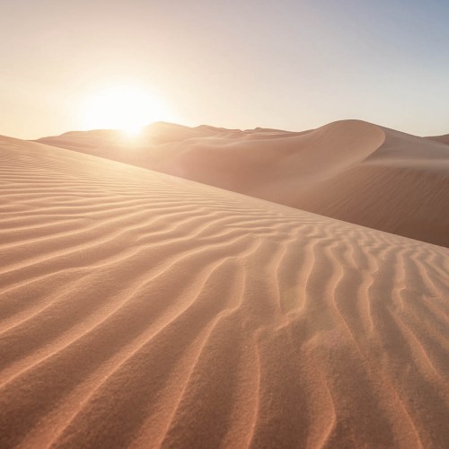 Sunset in the desert landscape, illuminating the rippled sand dunes, United Arab Emirates.