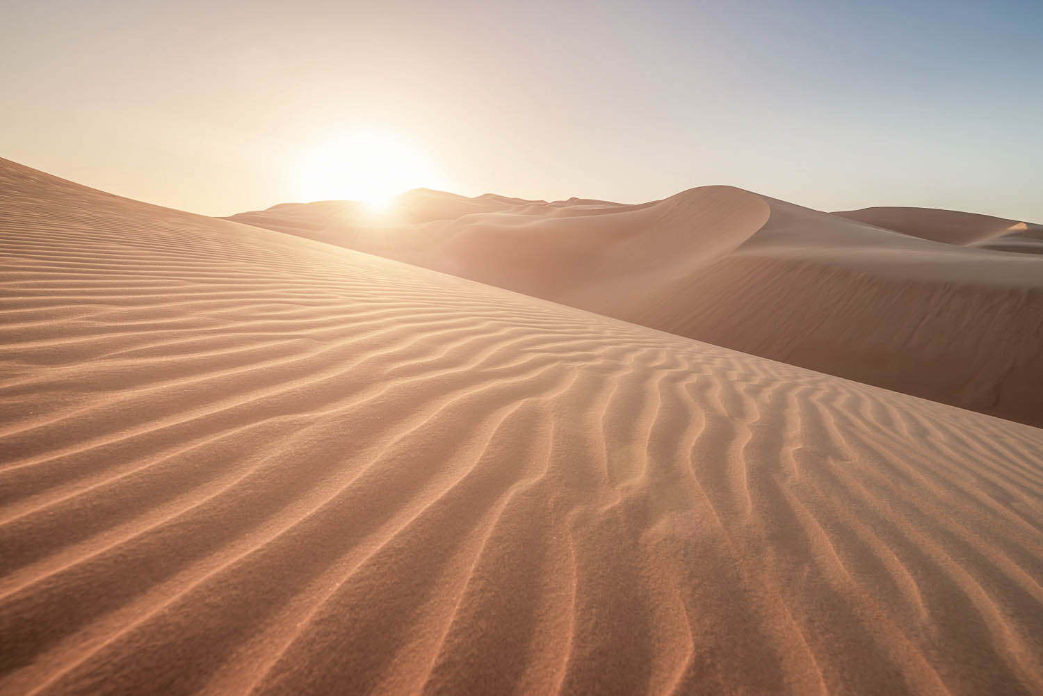 Sunset in the desert landscape, illuminating the rippled sand dunes, United Arab Emirates.