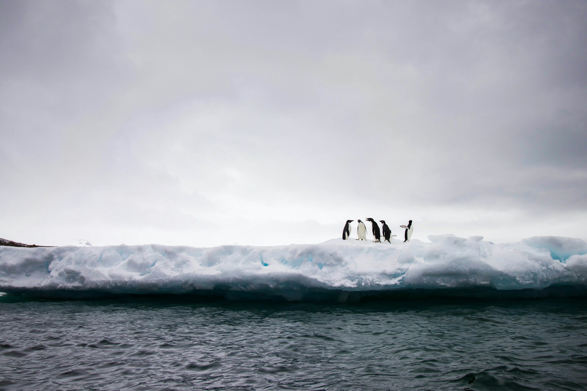 Antártica Silversea