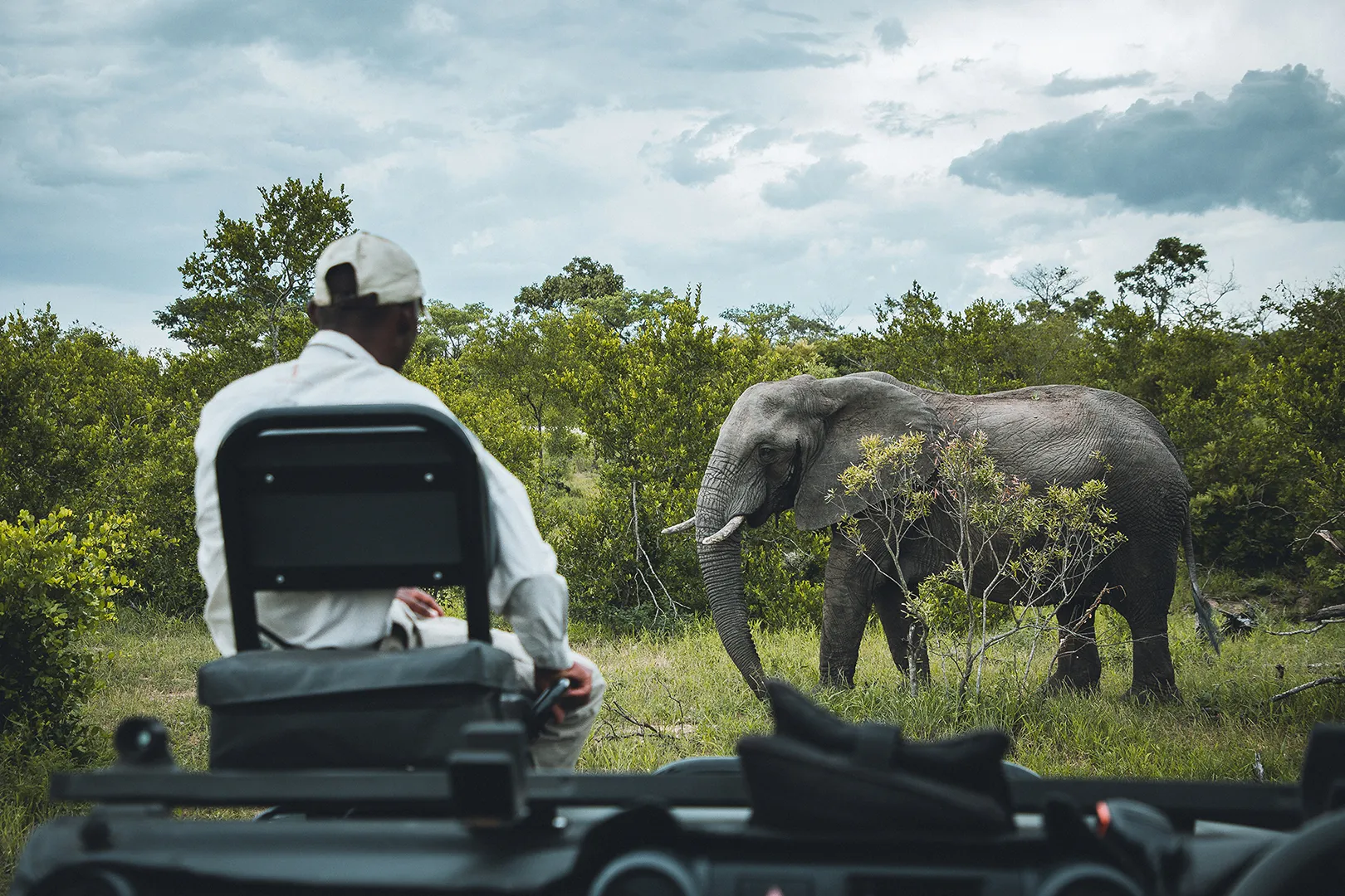 Parque Nacional Kruger