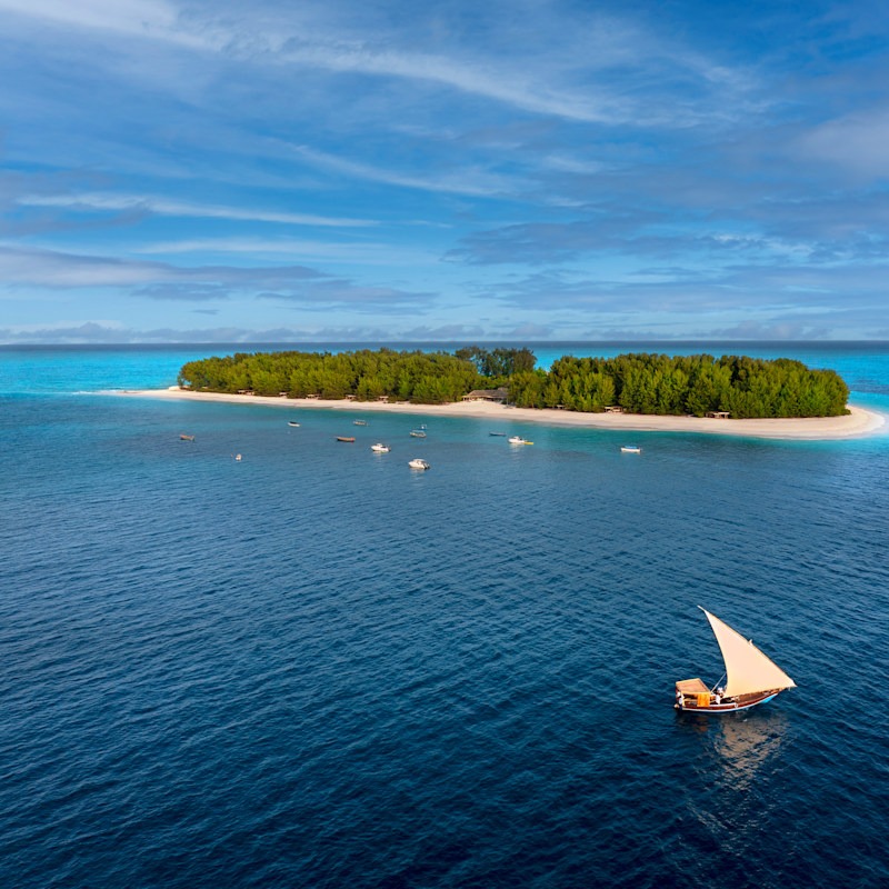 Zanzibar Mnemba Island Aerial Dhow 3 Website Square 800x800 Fill Gravityauto (1)