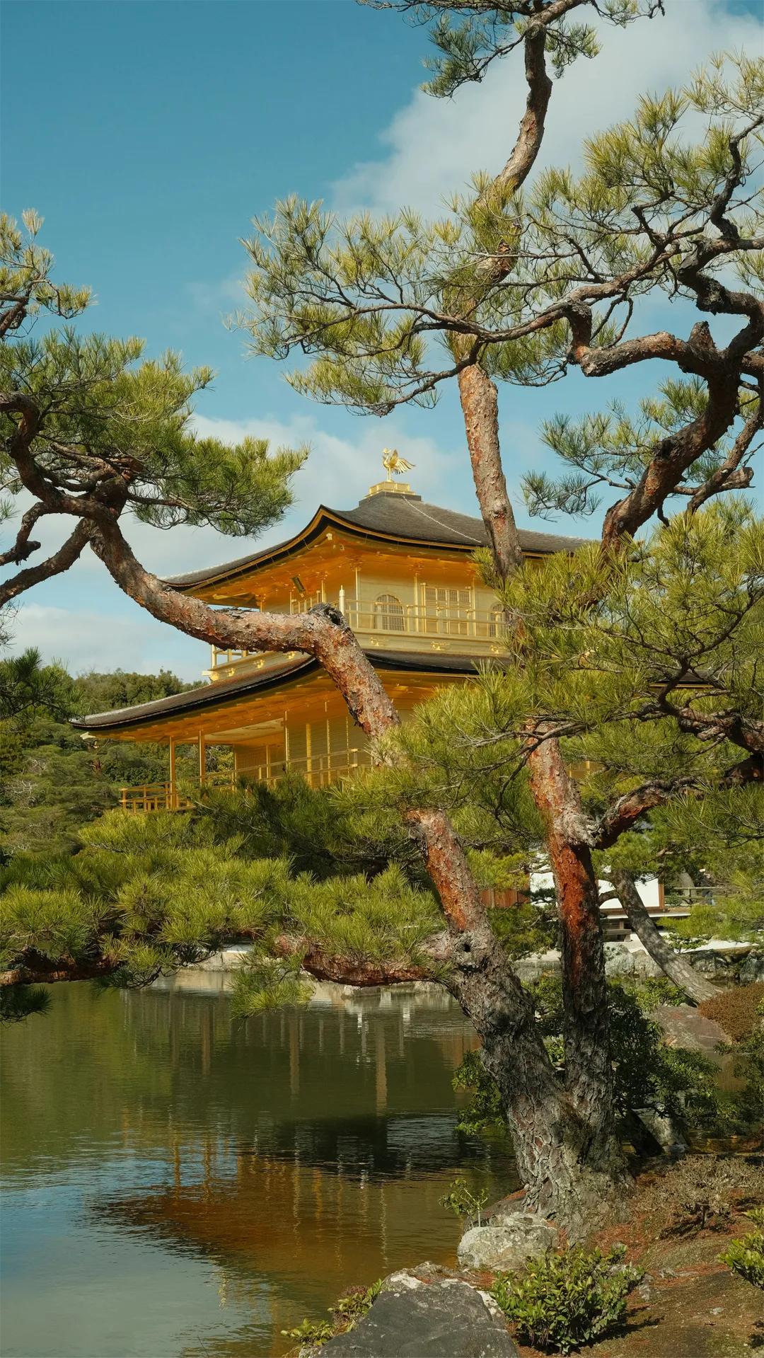 Kyoto