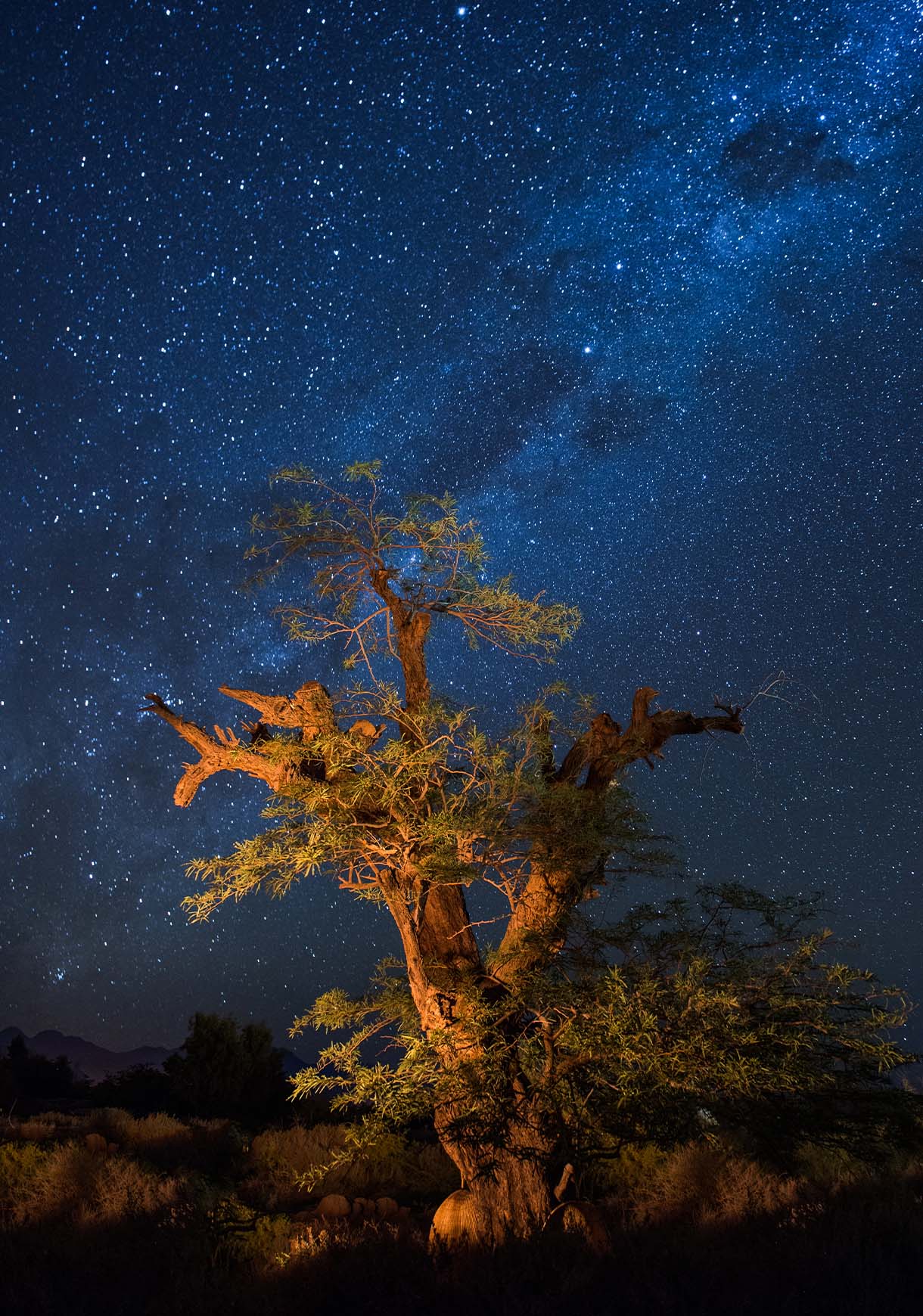 Observação De Estrelas Tierra Atacama