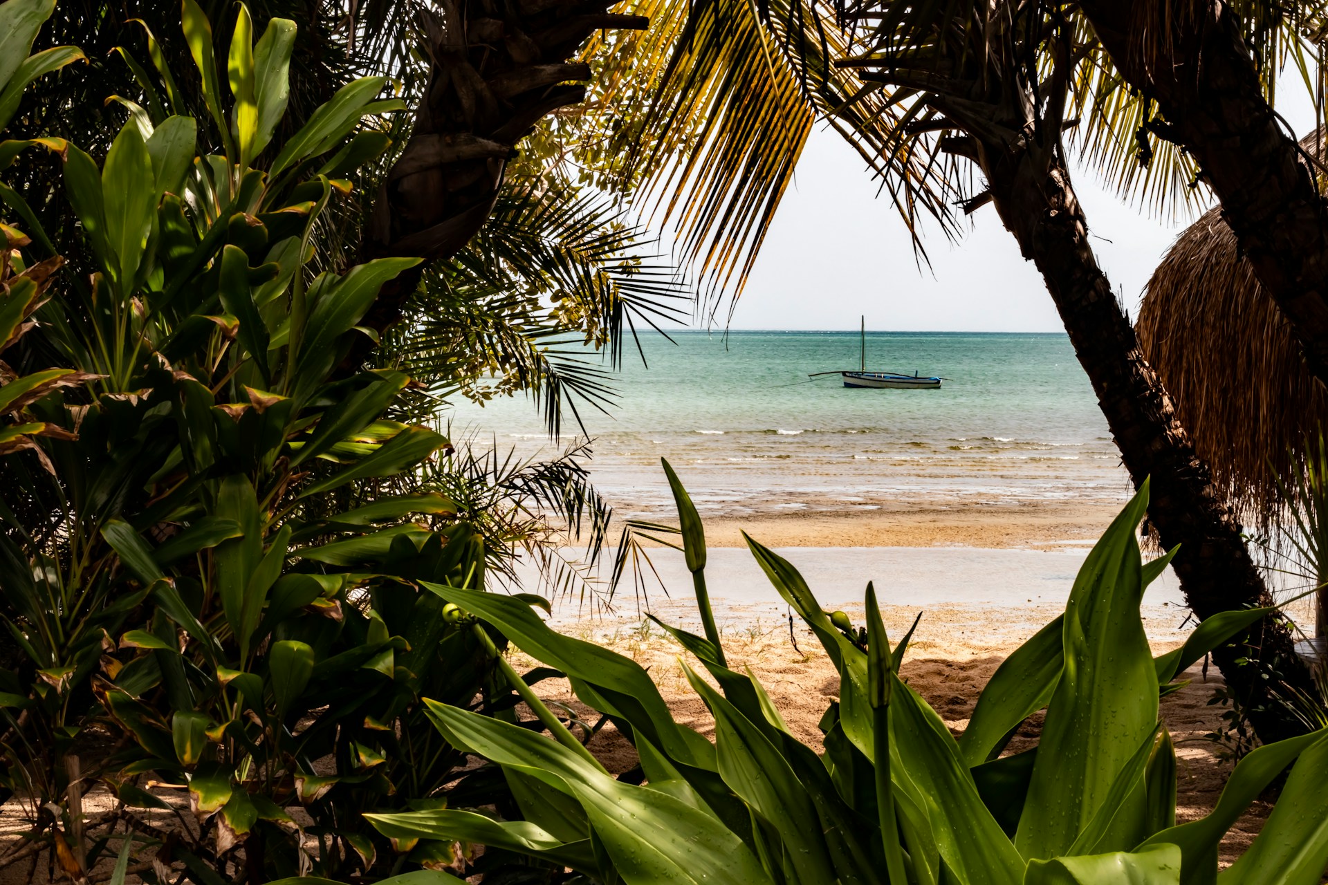 Moçambique