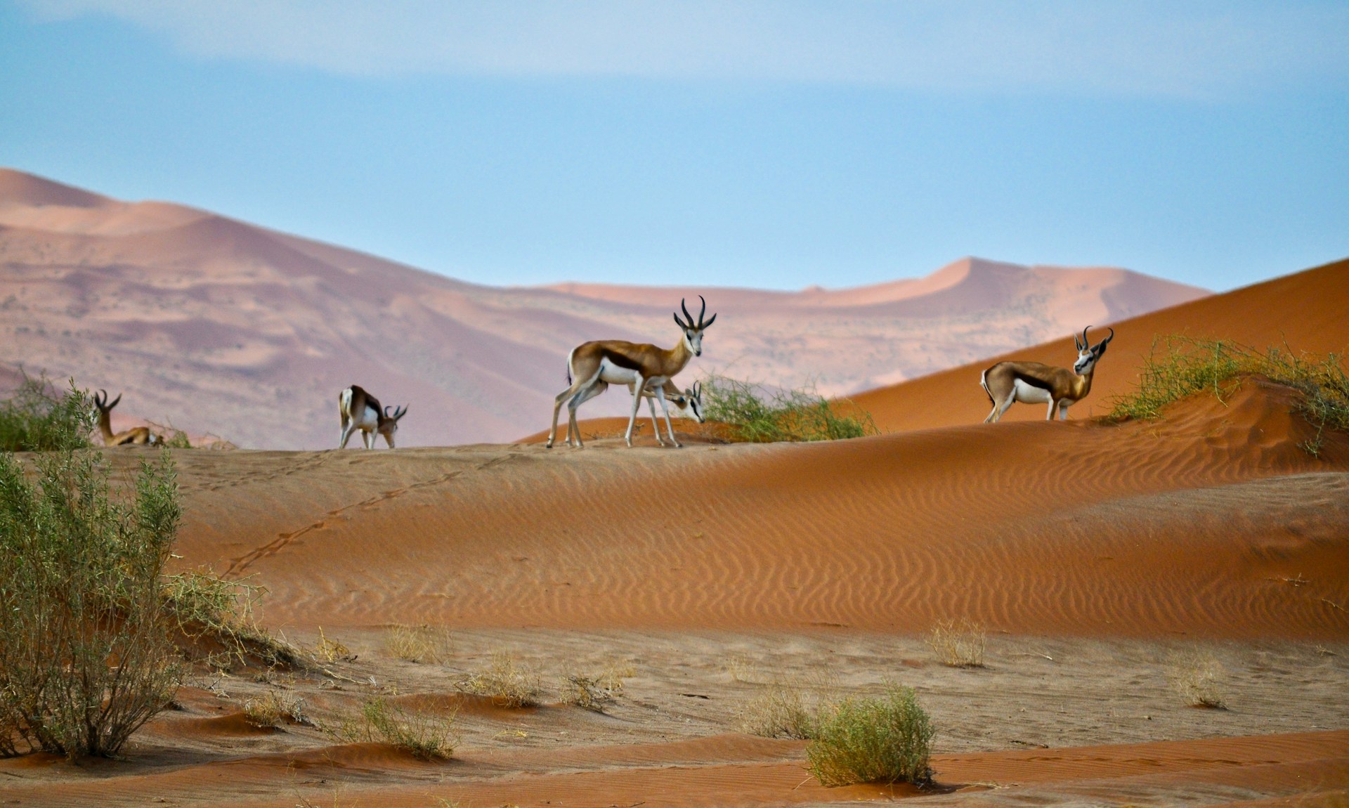 Namibia 2