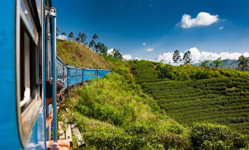Train,from,nuwara,eliya,to,kandy,among,tea,plantations,in