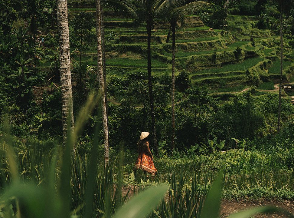 Ubud2
