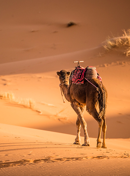 Marrocos - TERRAMUNDI