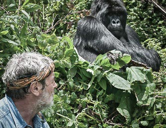 safari-com-os-gorilas