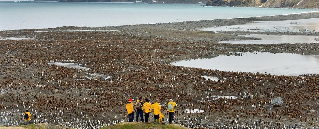 Antartica 3 
