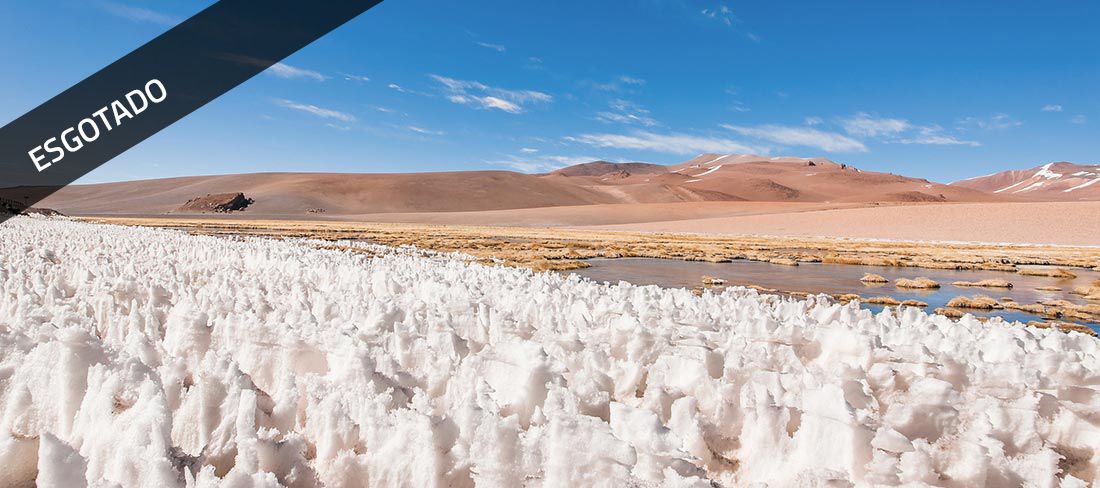 atacama_grupo_33