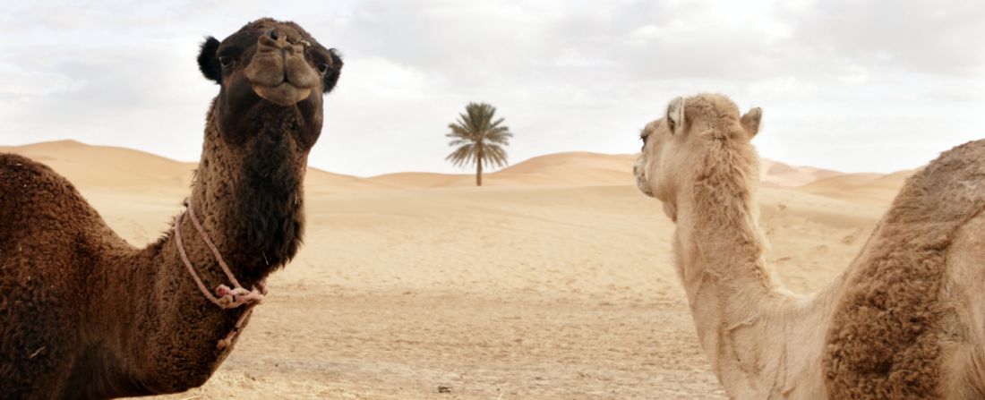 marrocos dunas