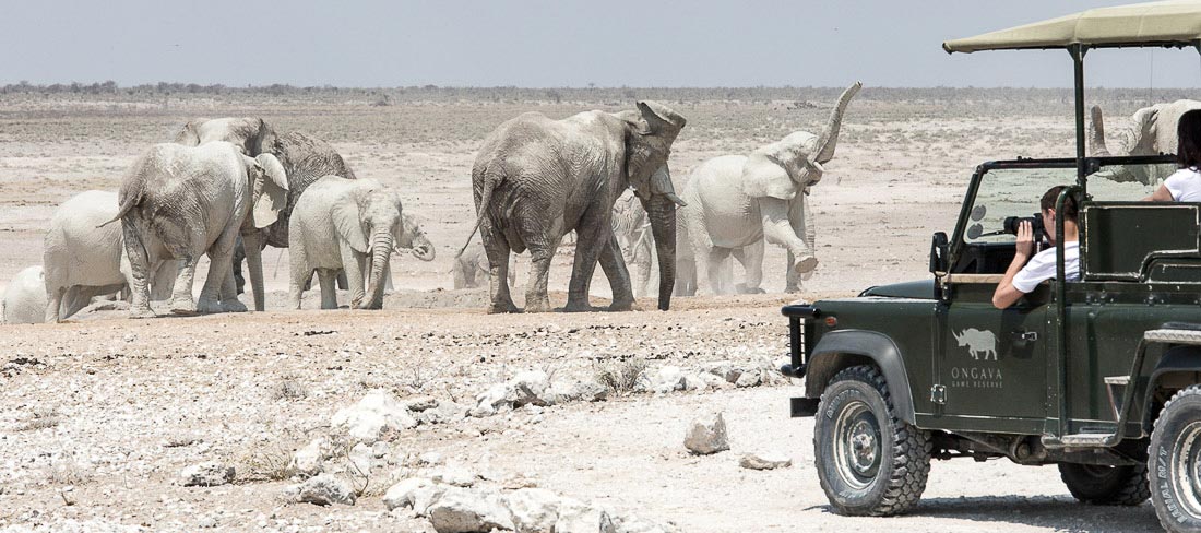 namibia-land-rover-elefantes