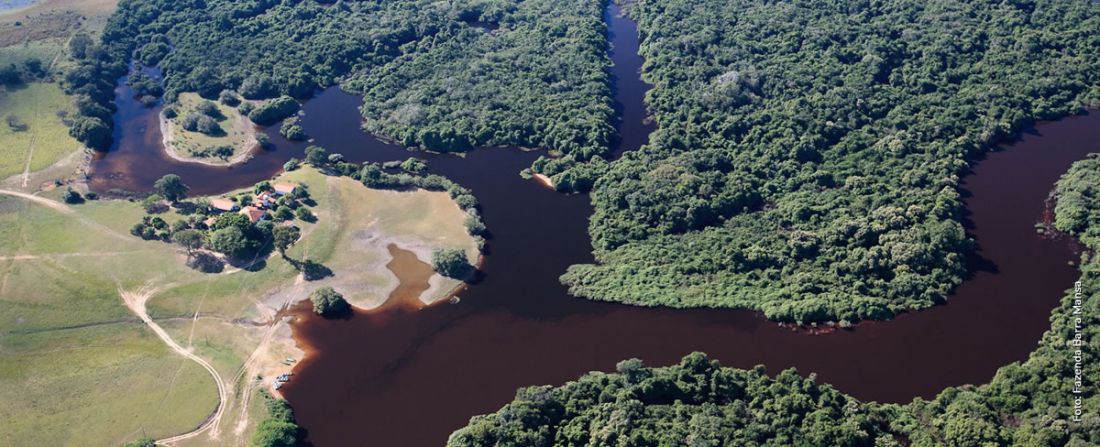 pantanal Fazenda Barra Mansa