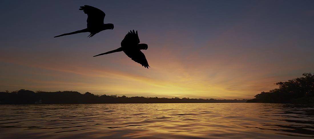 pantanal-viagem-brasil-por-do-sol