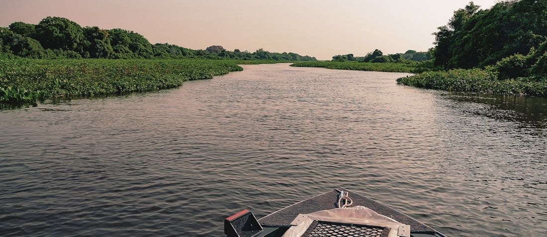 Passeio de barco Pantanal